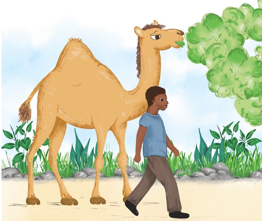 Kit d'apprentissage 1er cycle primaire